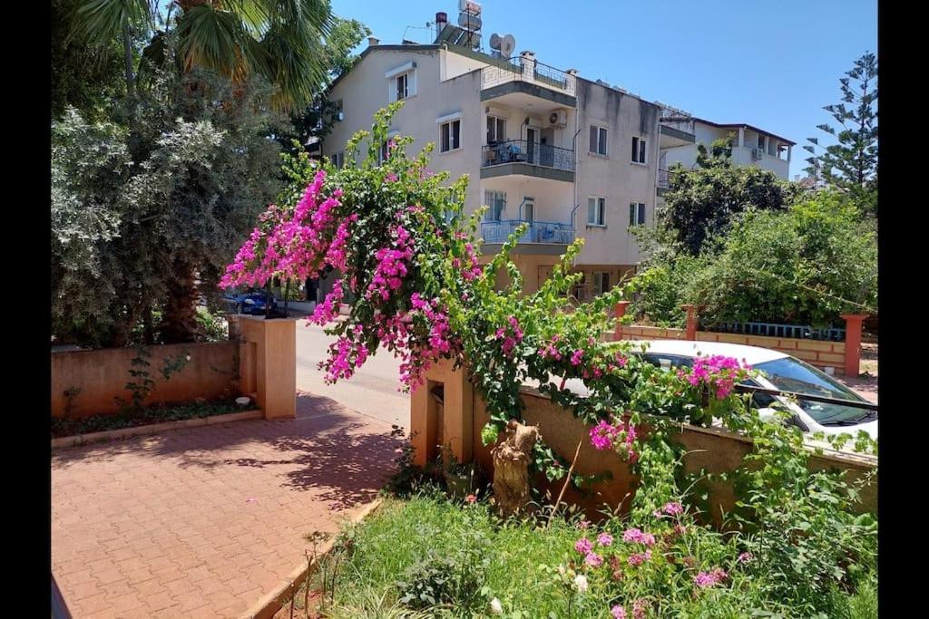 Daire Konyaalti Antalya